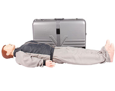 超級模擬人系列